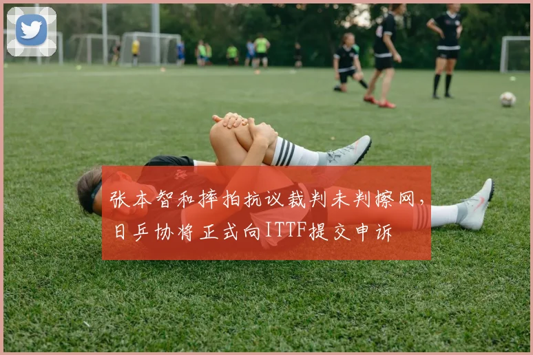 张本智和摔拍抗议裁判未判擦网，日乒协将正式向ITTF提交申诉